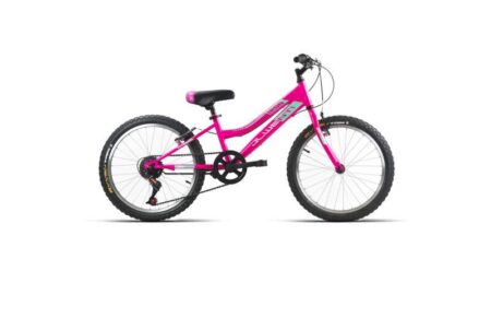 Bicicleta JlWenti 20" chica